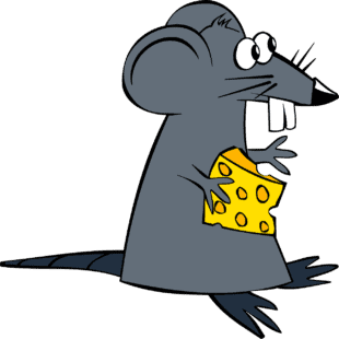 עכבר